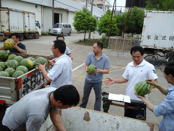 澳门49码图库